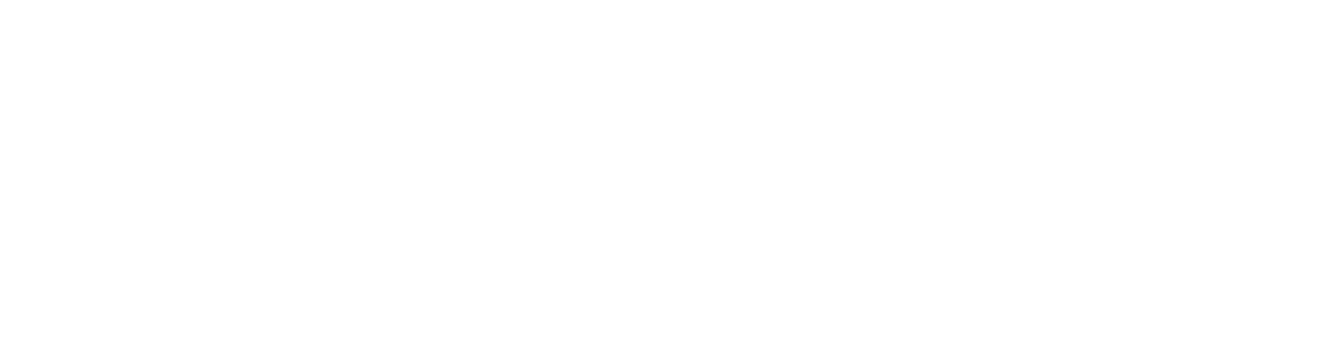 Finnita